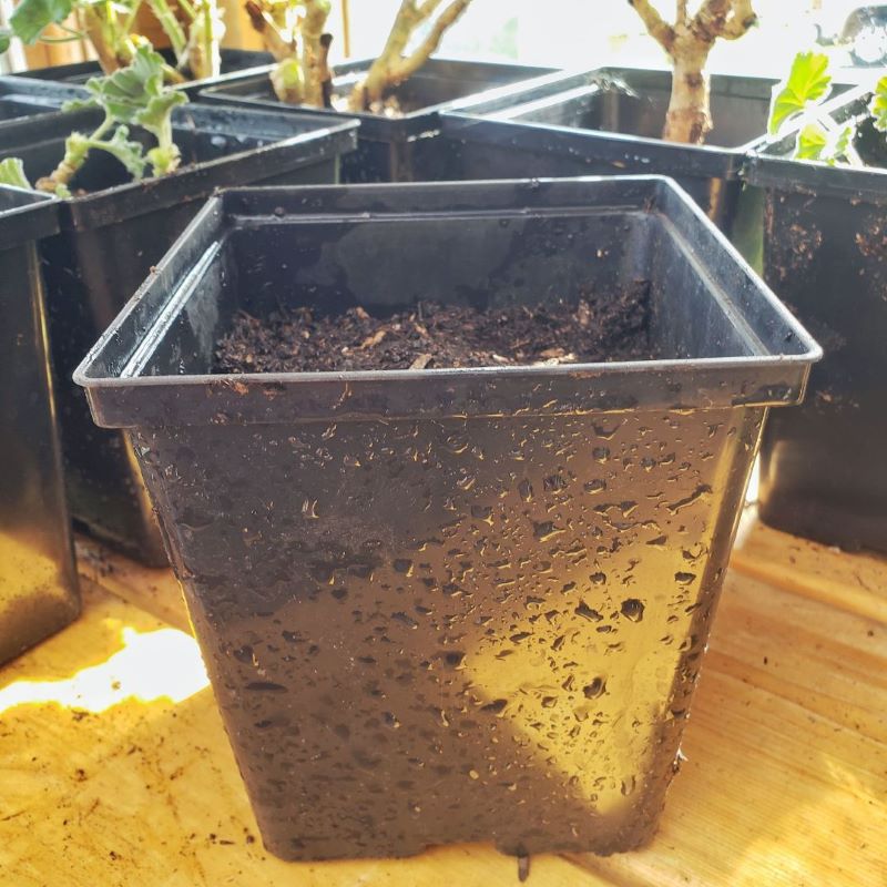 container with soil