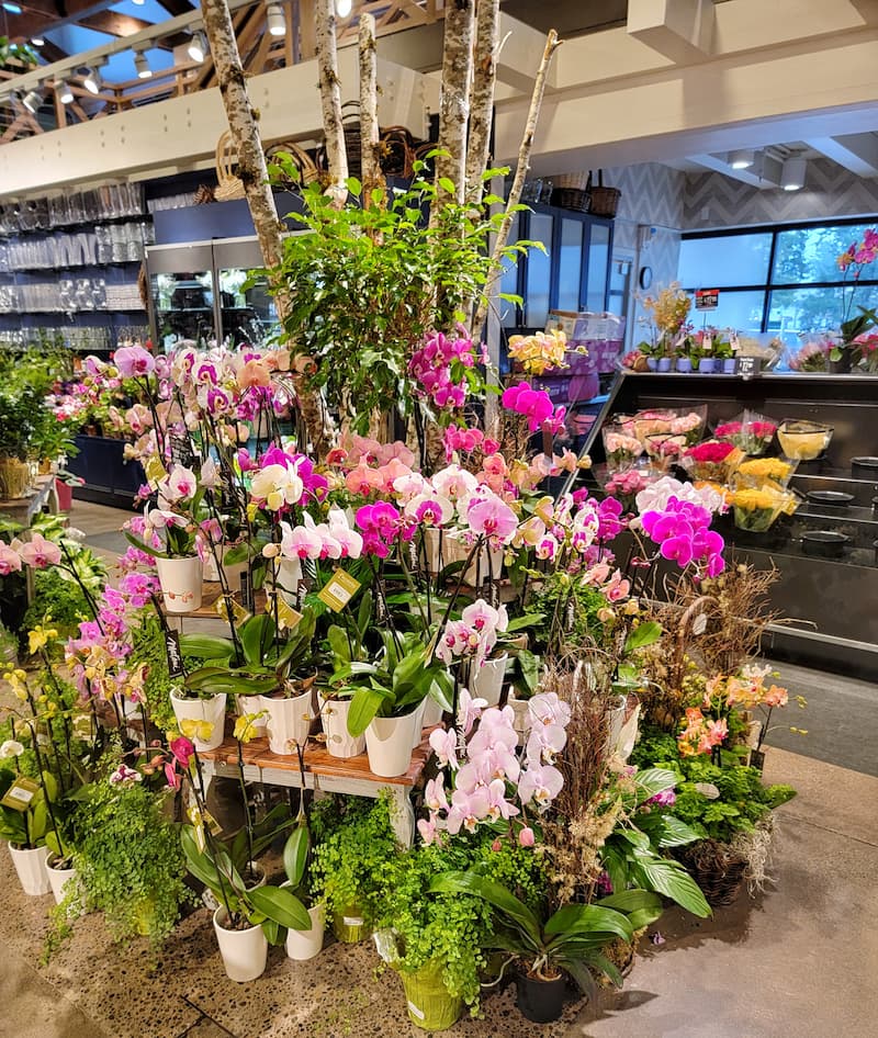 Flowers and plants at the grocery store