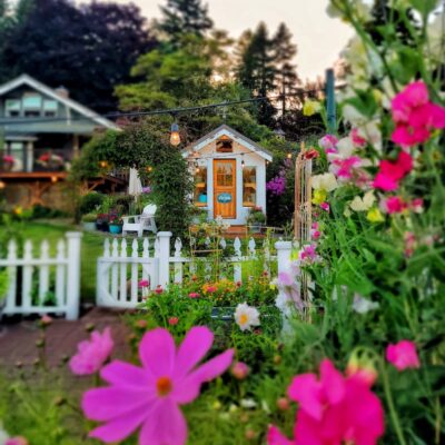 Answers to Your Questions About Growing a Cut Flower Garden