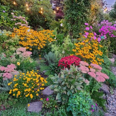 An Enchanted Evening Summer Stroll Through the Cottage Garden - Shiplap ...