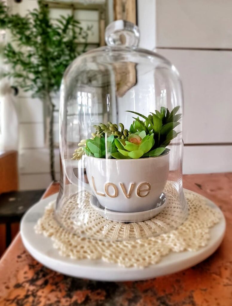 faux succulent in love cup Valentines cloche