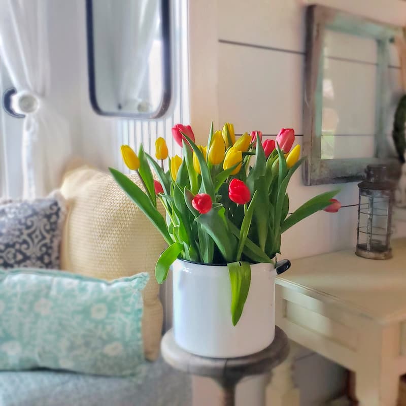 tulips in an enamelware container