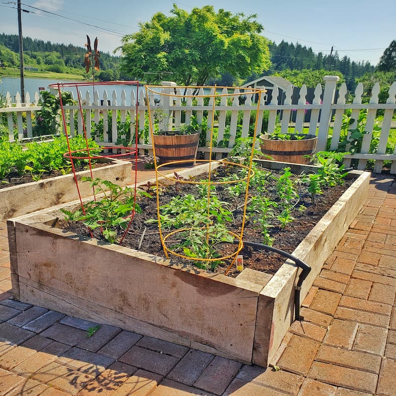 March gardening to dos in the Pacific Northwest: raised beds with vegetables