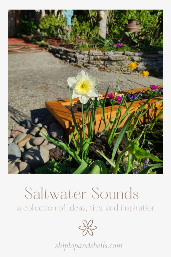Slatwater Sounds graphic
