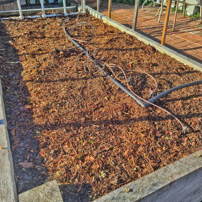 layer of mulch added to raised bed