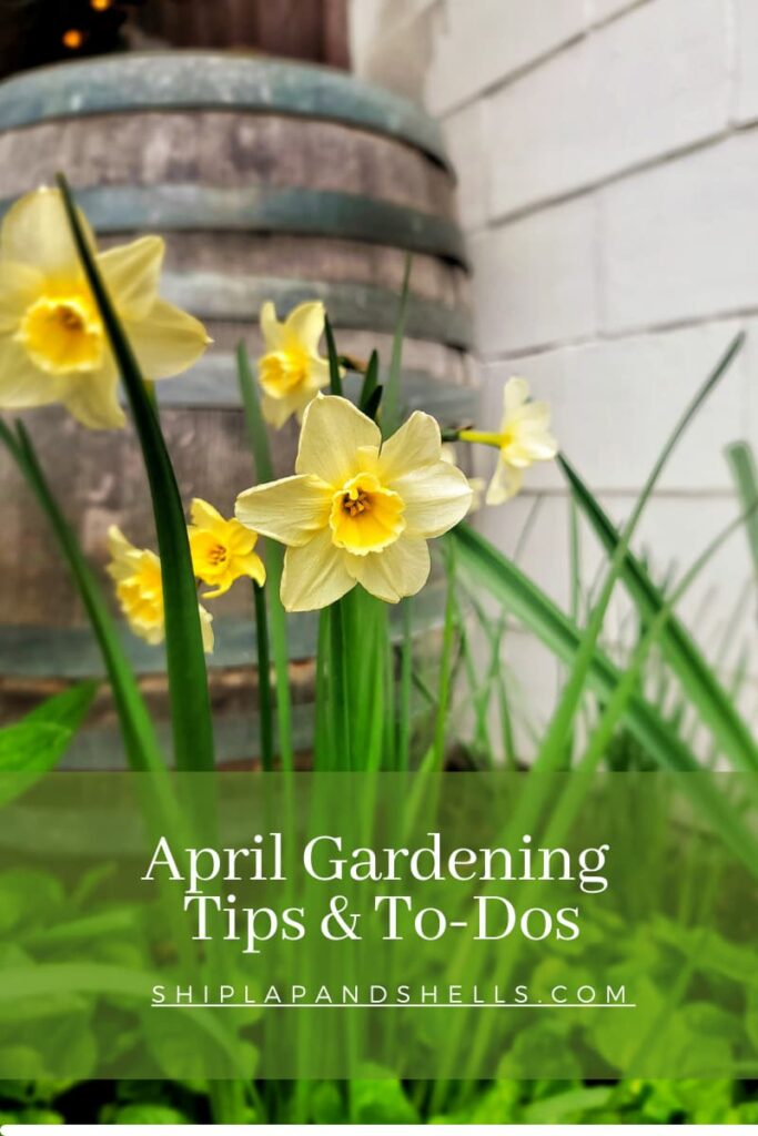 April gardening tips and to dos graphic