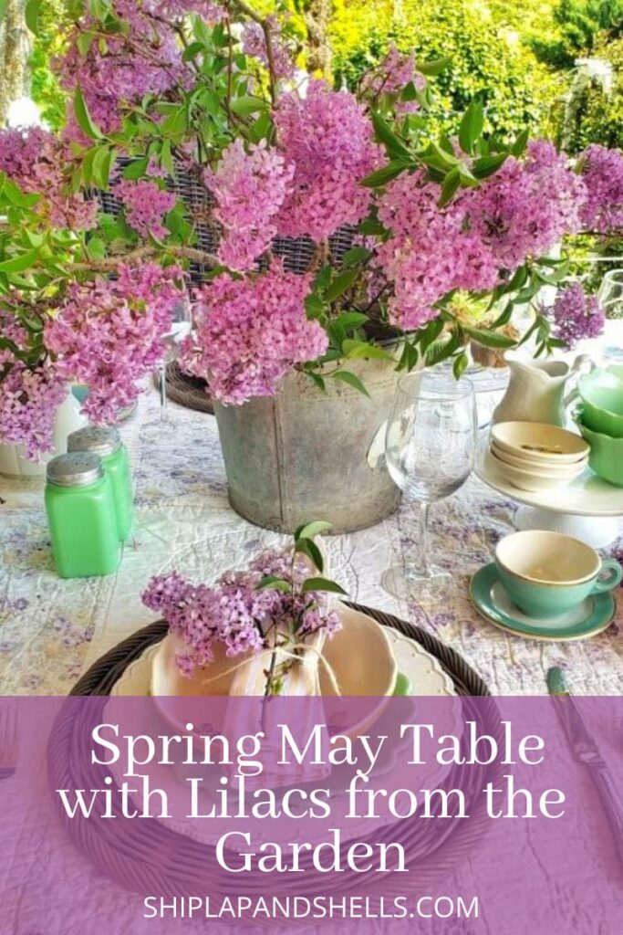 Spring May table with lilacs from the garden