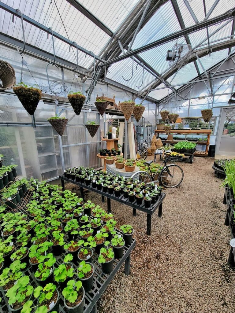 greenhouse filled with spring flowers and plants and vintage garden decor