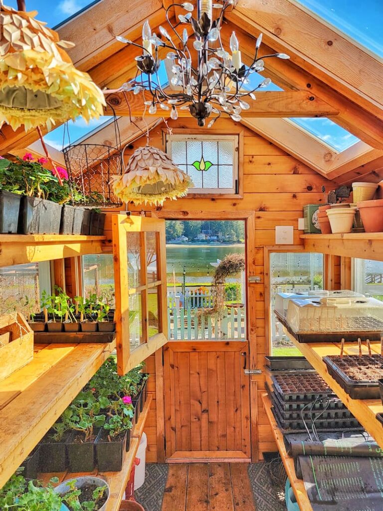 greenhouse indoors