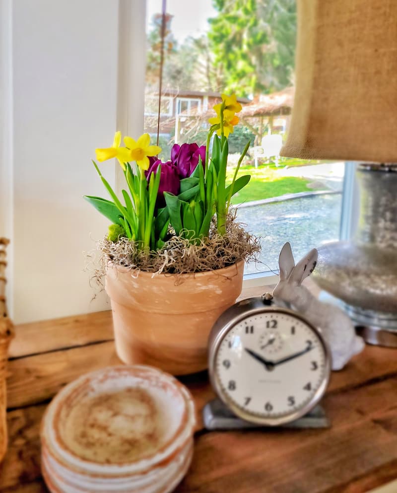 spring bulbs in clay pot and vintage clock Easter vignette tabletop ideas