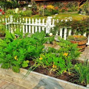 A Beginner's Guide to Companion Planting in the Vegetable Garden ...