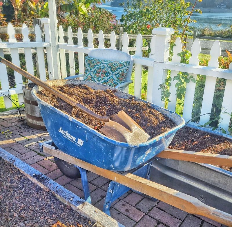 wheelbarrow full of leaf mulch