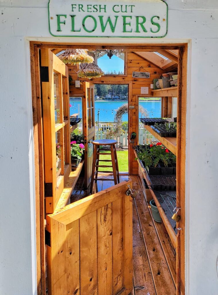 greenhouse with Dutch door