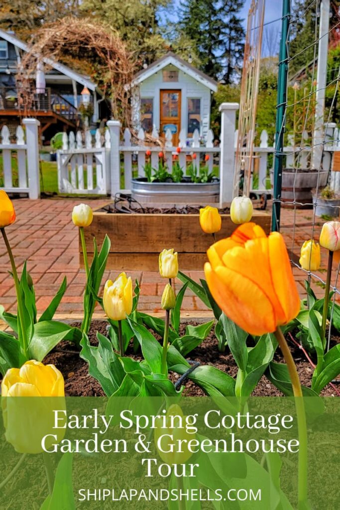 Early Spring cottage garden and greenhouse tour