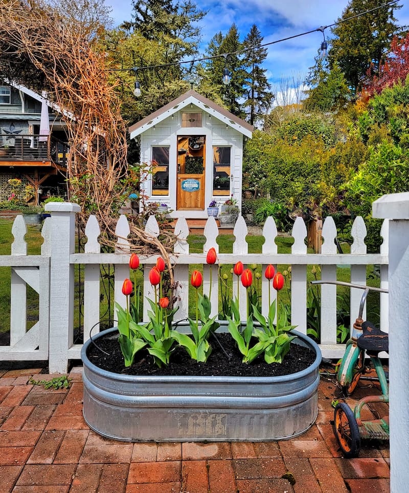 Spring Gardening Checklist to Help the Summer Garden Thrive