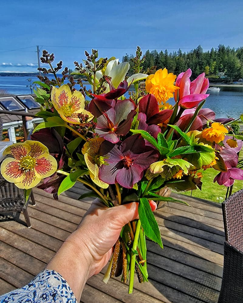 hellebores, tulips, and Japanese roses harvested for a flower bouquet
