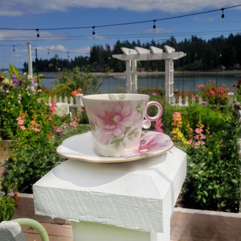 teacup in the garden