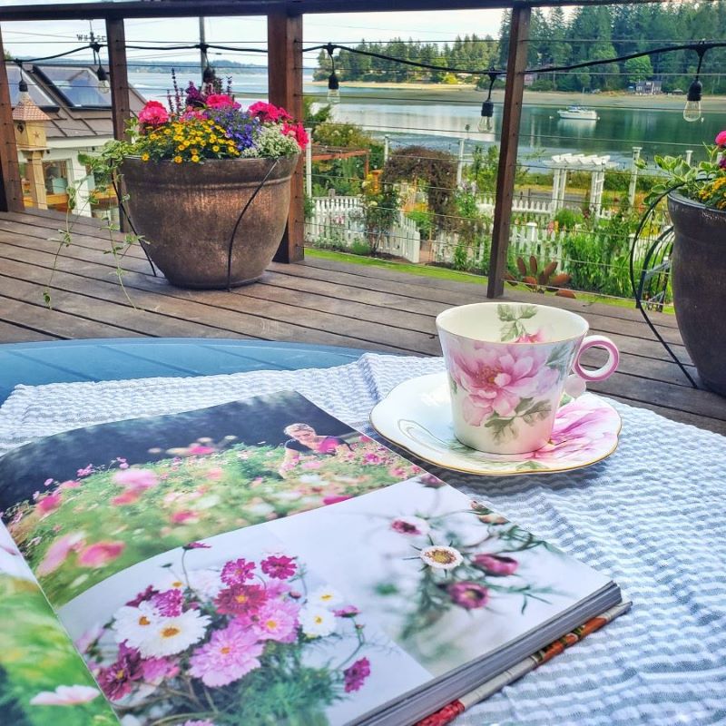 teacup and book on the deck