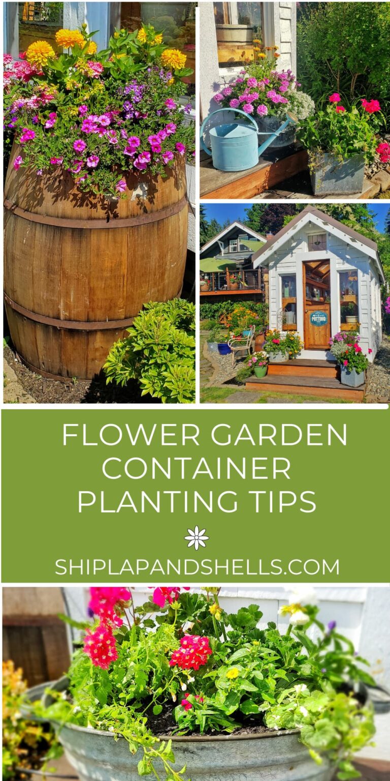 How to Grow a Flower Container Garden for Beginners - Shiplap and Shells