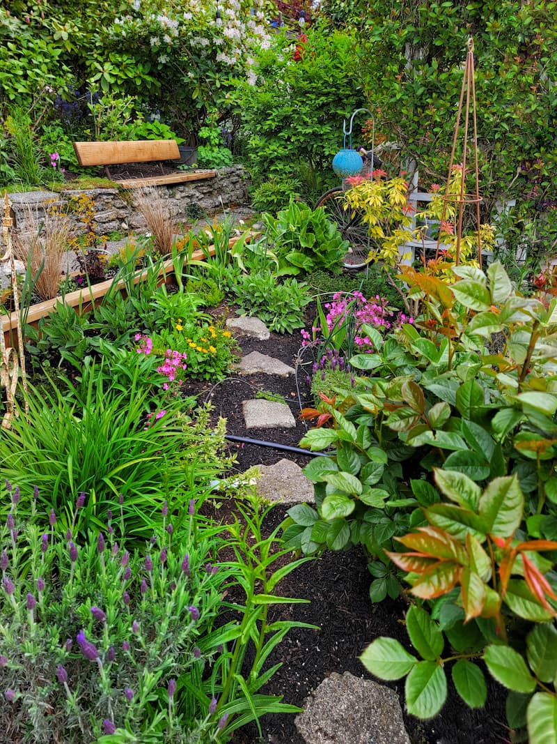 Mid-Spring PNW Cottage and Cut Flower Garden Tour For May - Shiplap and ...