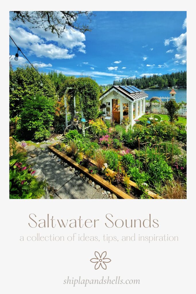 Saltwater Sounds graphic
