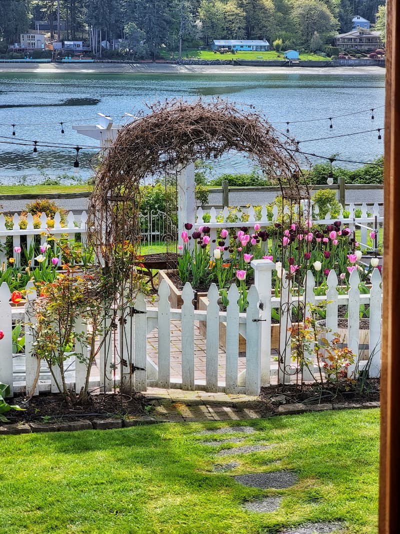 Mid Spring Pnw Cottage And Cut Flower Garden Tour For May Shiplap And