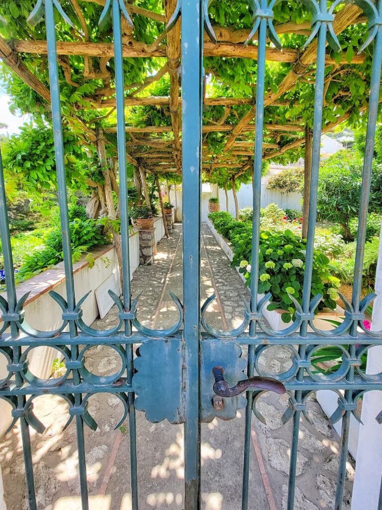 European vintage turquoise iron gate and garden