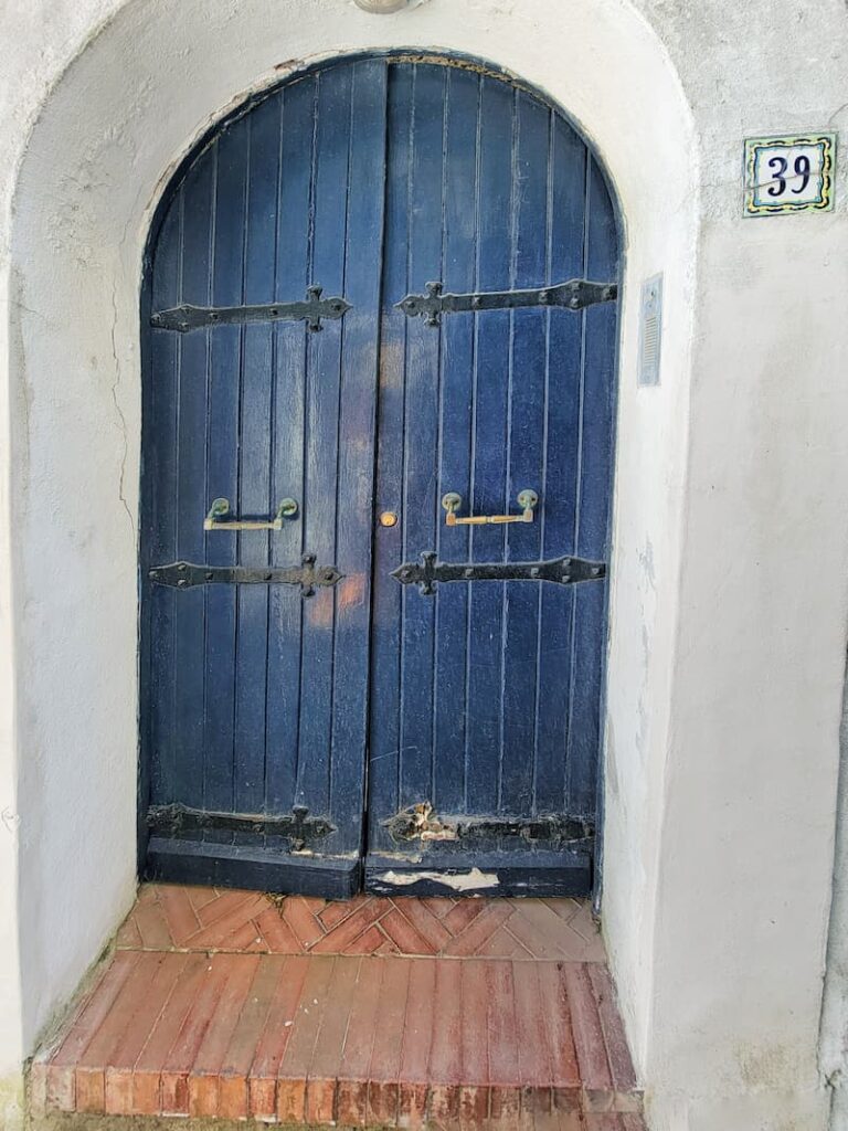 European blue wooden vintage arched door