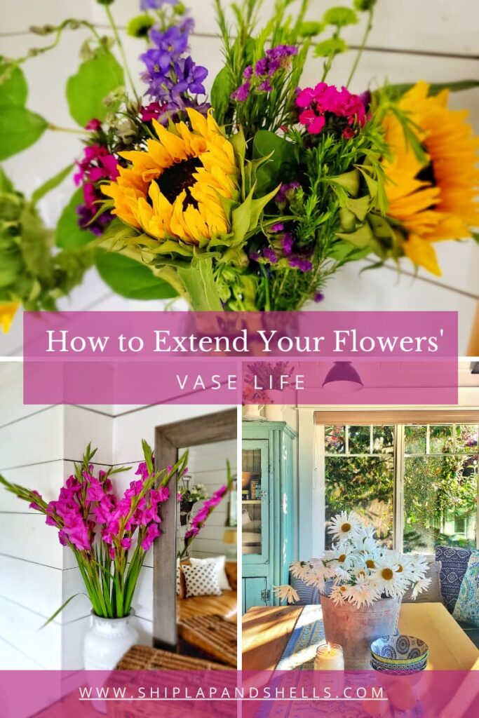 How to Extend Your Flowers vase life