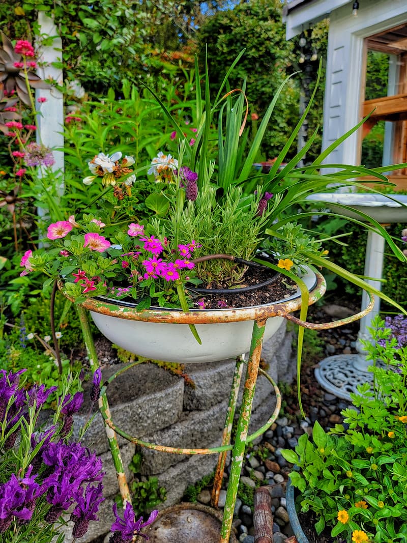 July Gardening Tips and To-Dos for the Pacific Northwest - Shiplap and ...