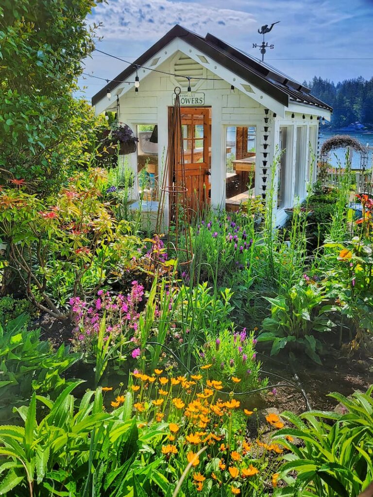 late spring cottage garden  and greenhouse