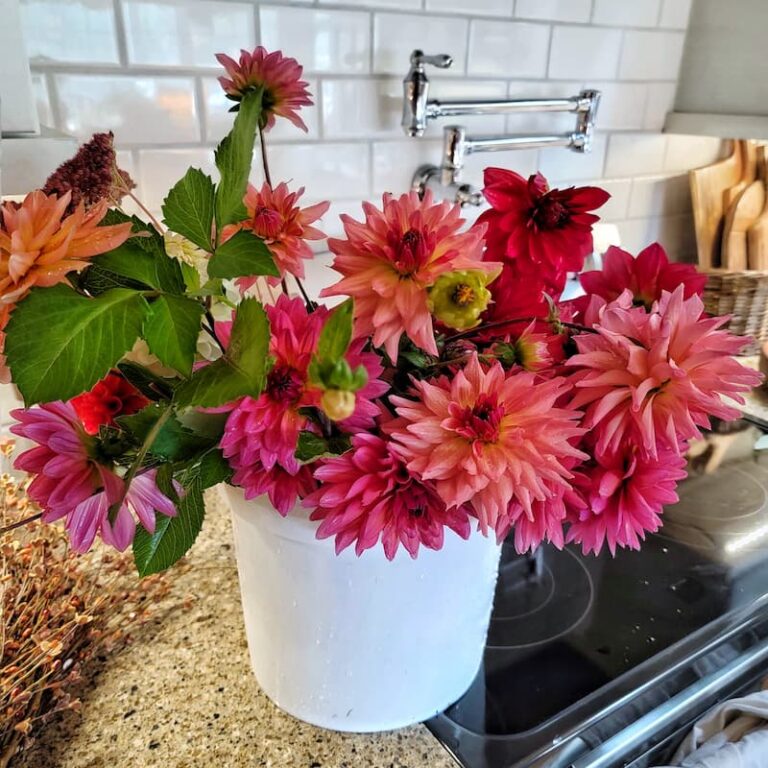 8 Tips and Tricks to Extend the Vase Life of Your Cut Flower