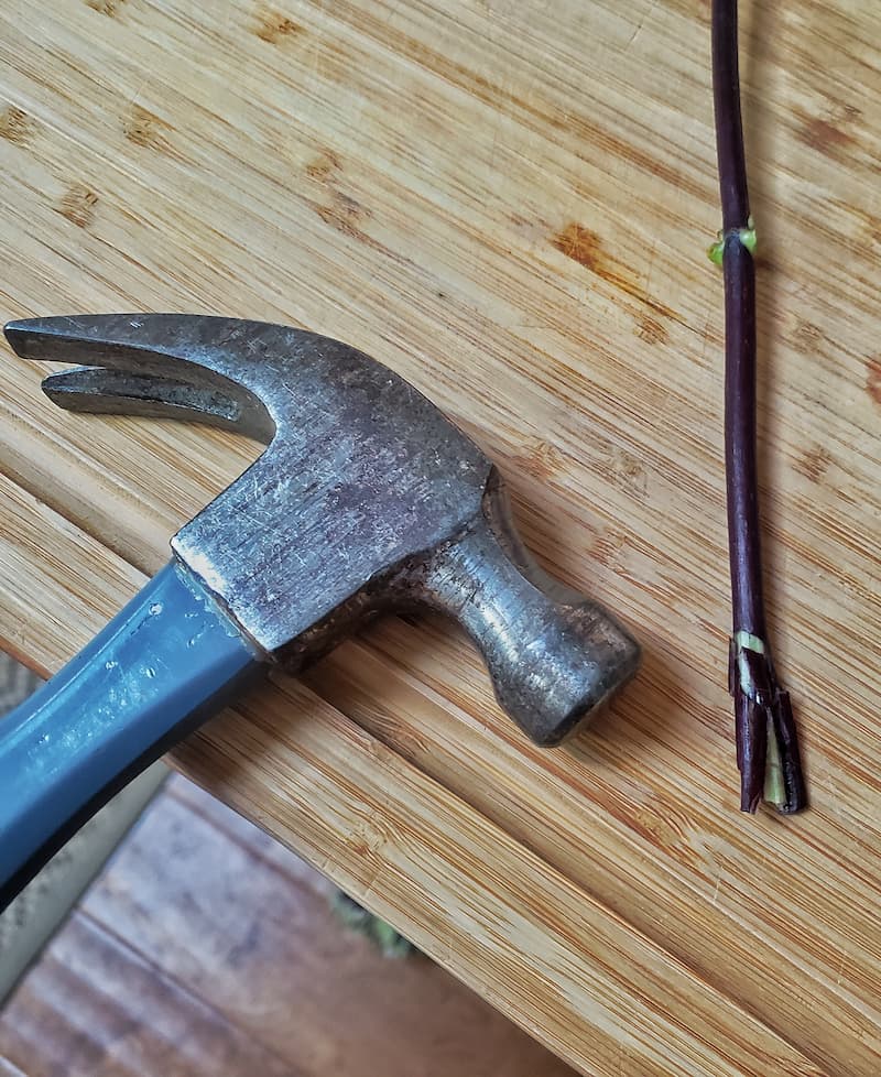 hammer and smashed stem