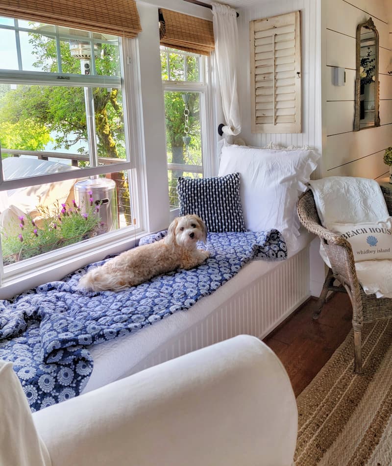 dog laying on the window seat with navy blue blanket