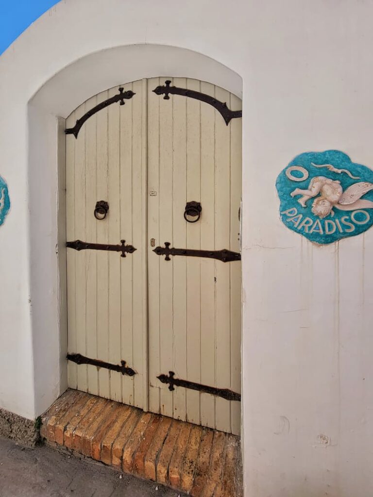 neutral wooden arched vintage door