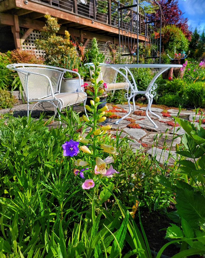 late spring cottage garden patio area 
