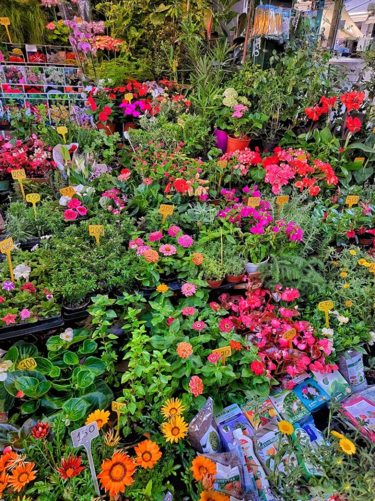 flower market - trip to Italy and Greece