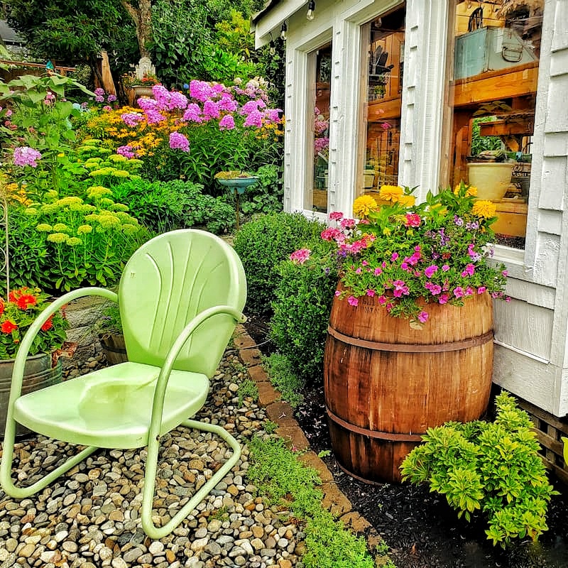 vintage metal chair and whiskey barrel full of flowers