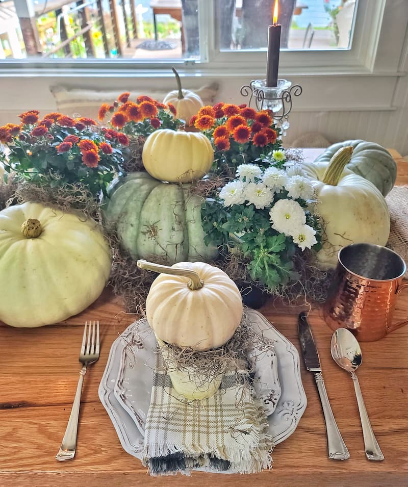 fall table using pumpkins and mums