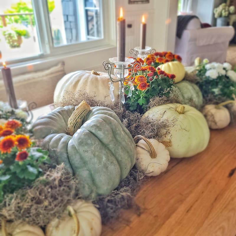 fall table using pumpkins and mums