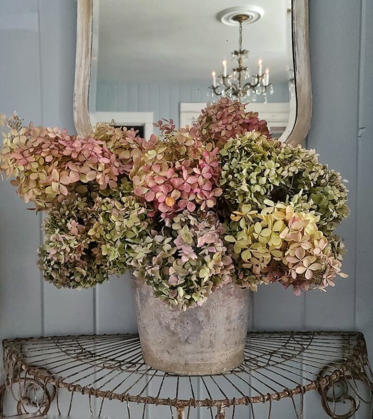 Simple Tips on How to Dry Hydrangeas for Your Home Decor Shiplap and