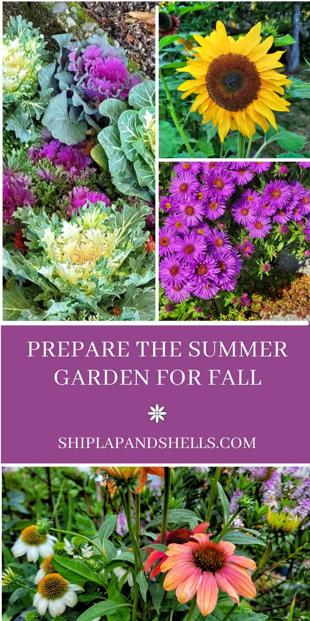 8 Ways to Prepare Your Summer Garden for the Fall Season Transition ...