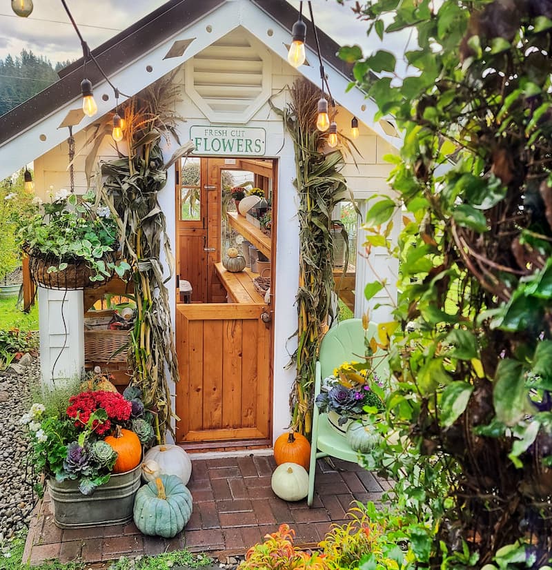 greenhouse decorated for fall