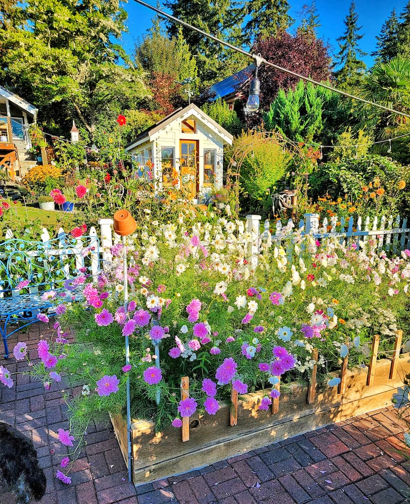 cut flower garden and greenhouse