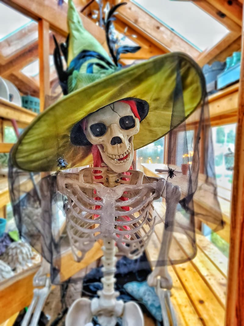 spooky skeleton with witches hat