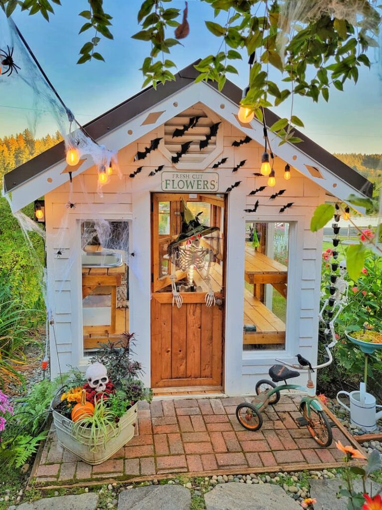 spooky Halloween greenhouse and garden with skeleton at door