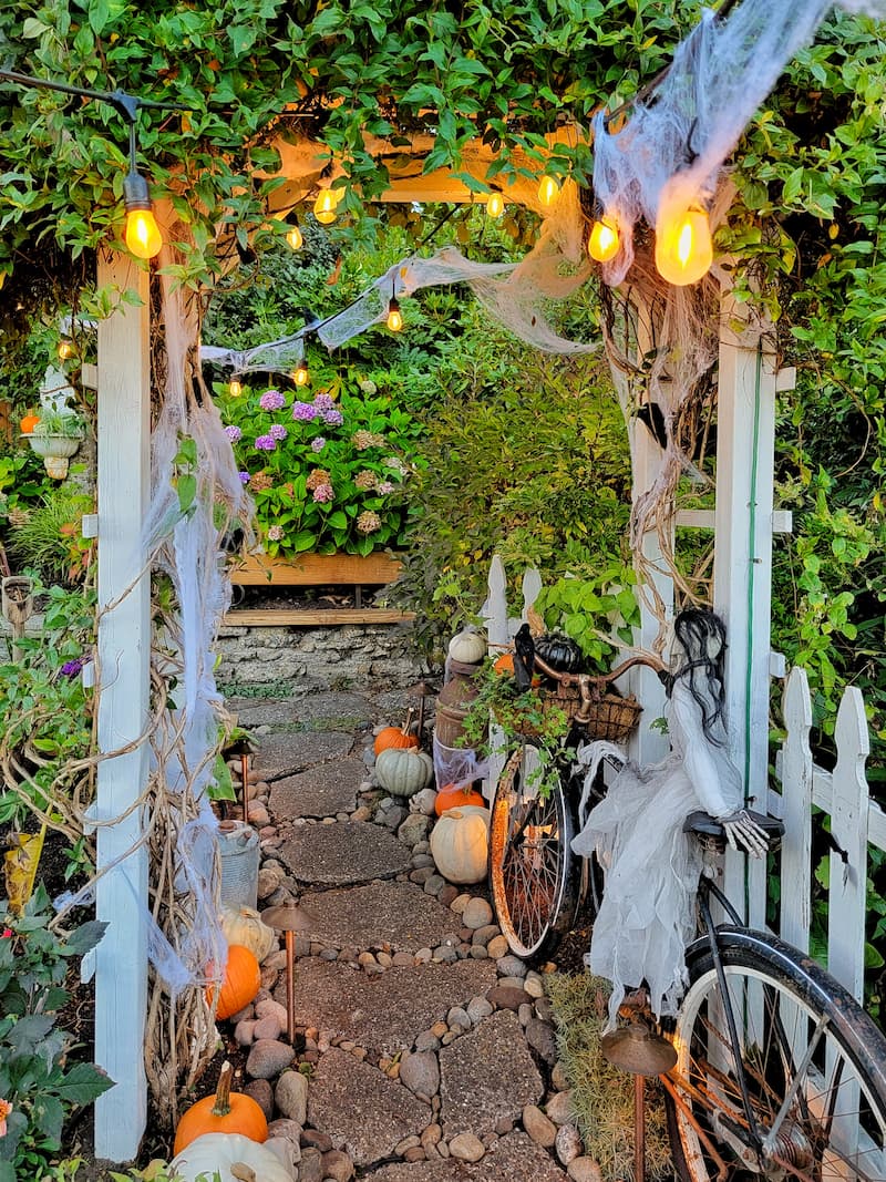 Create a Fun and Spooky Vibe in Your Garden This Halloween - Shiplap ...