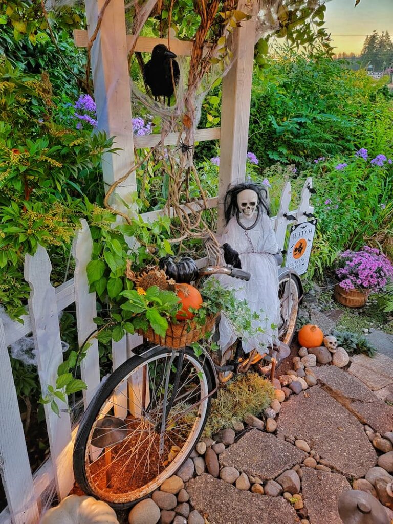 spooky Halloween greenhouse and garden with skeleton on vintagen  bike