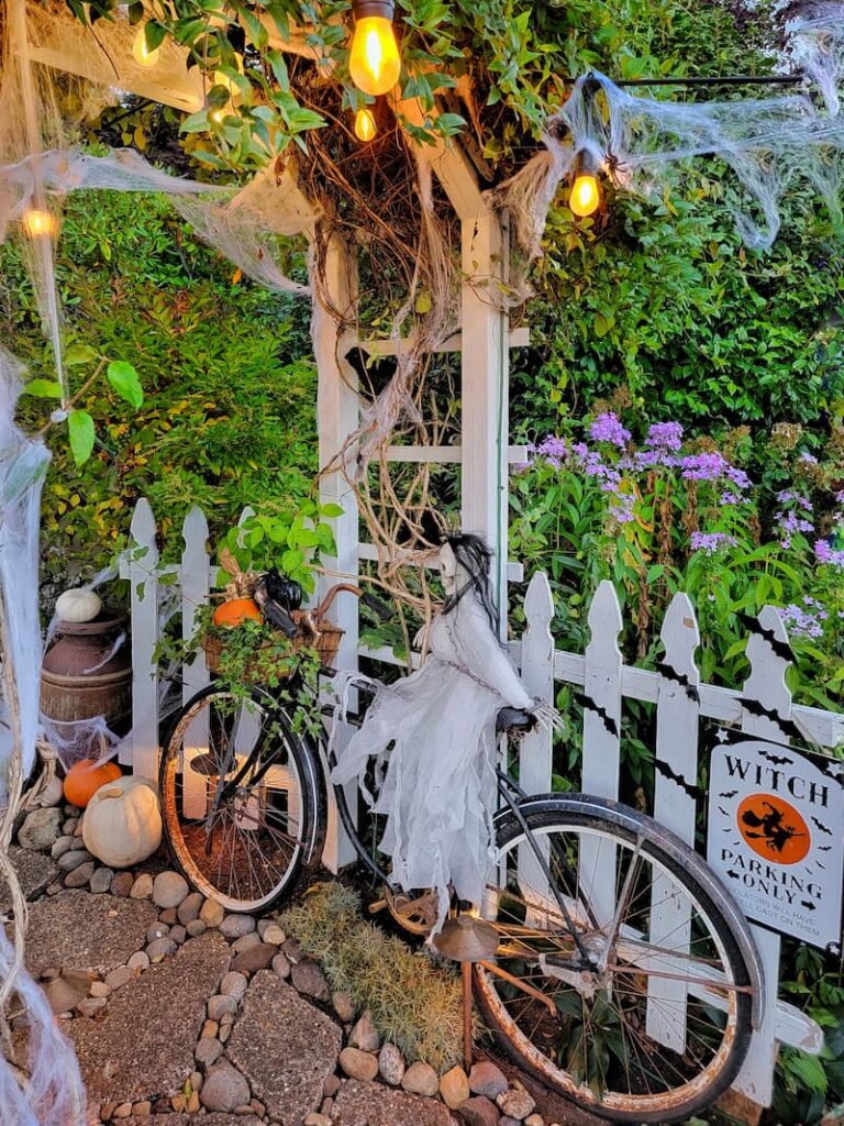 spooky Halloween greenhouse and garden skeleton on vintage bike