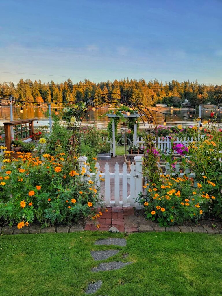 fall cut flower garden and white picket fence